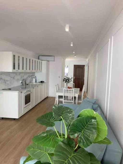 Flaming Apartment 4F Torrevieja Dış mekan fotoğraf