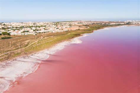 Flaming Apartment 4F Torrevieja Dış mekan fotoğraf